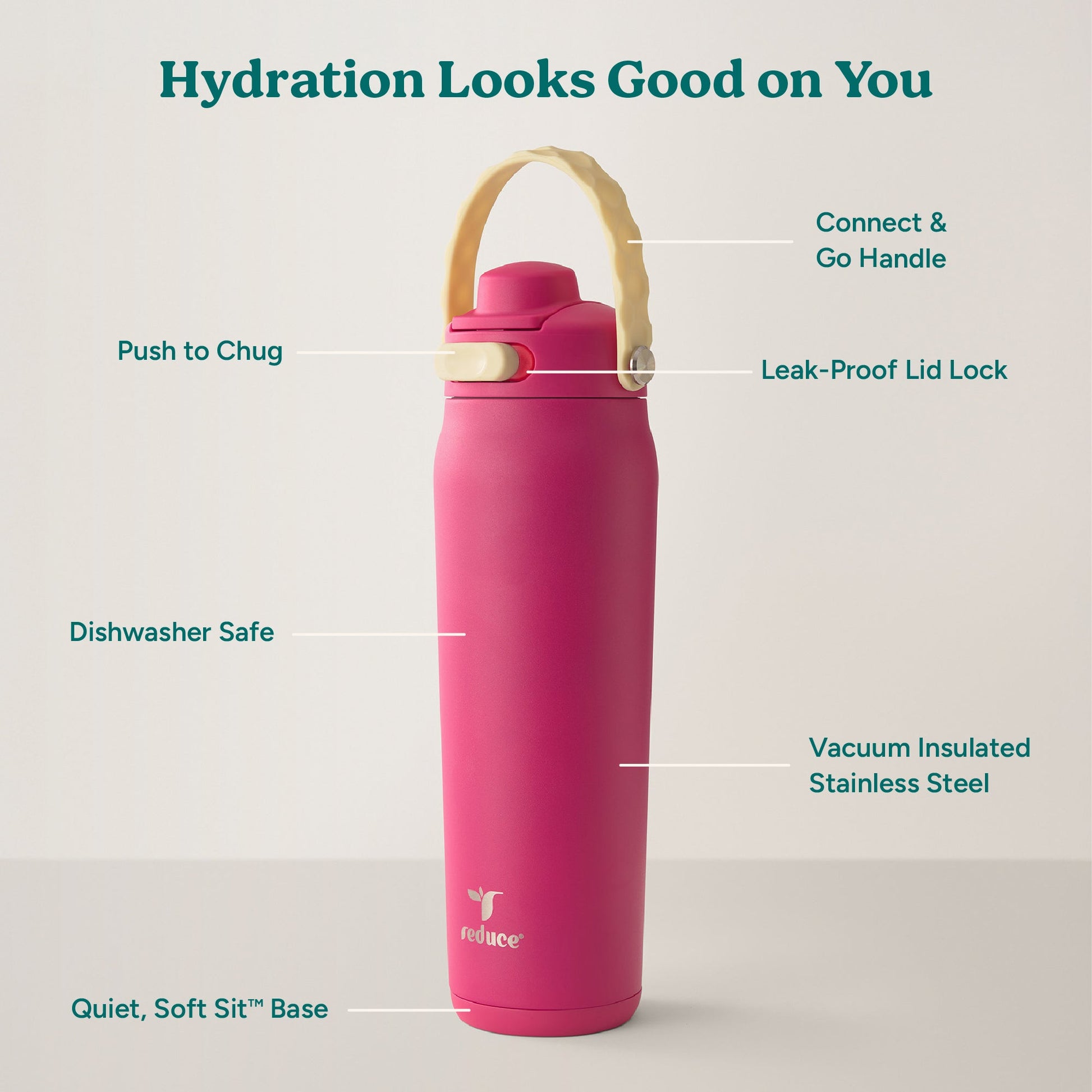 aura-26-oz-x1 Aura_26oz_DragonFruit_PDP_Infographic_2-03.jpg
