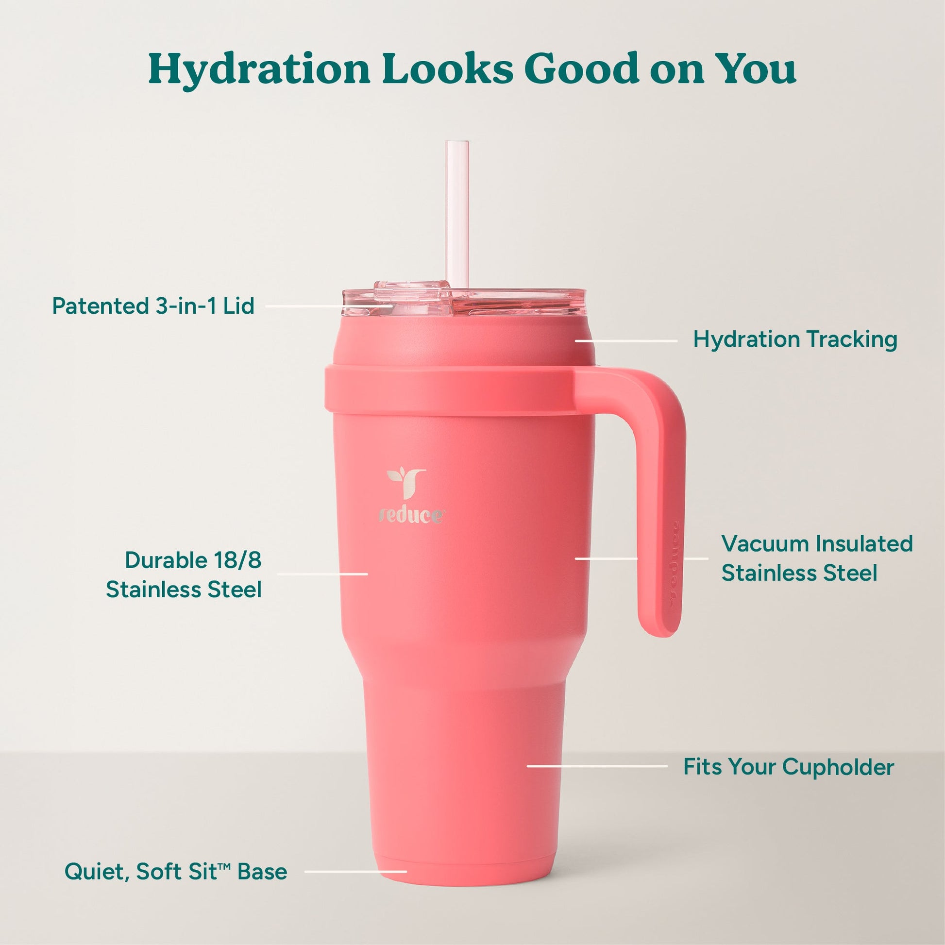 cold1-40-oz-g1 Cold1_40oz_Daiquiri_Infographic_2.jpg