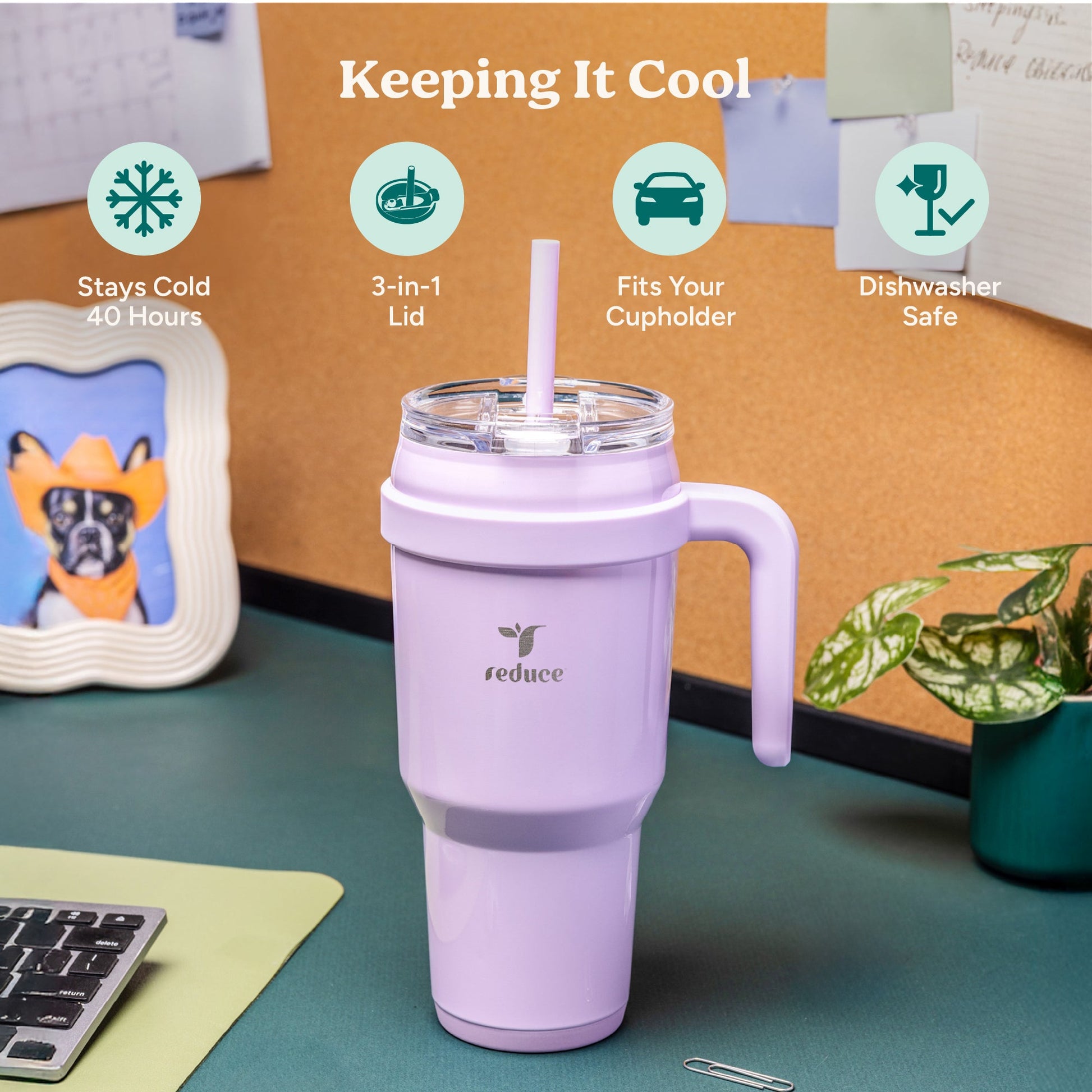 cold1-40-oz-g1 Cold1_40oz_PalmLeaf_Infographic_1.jpg