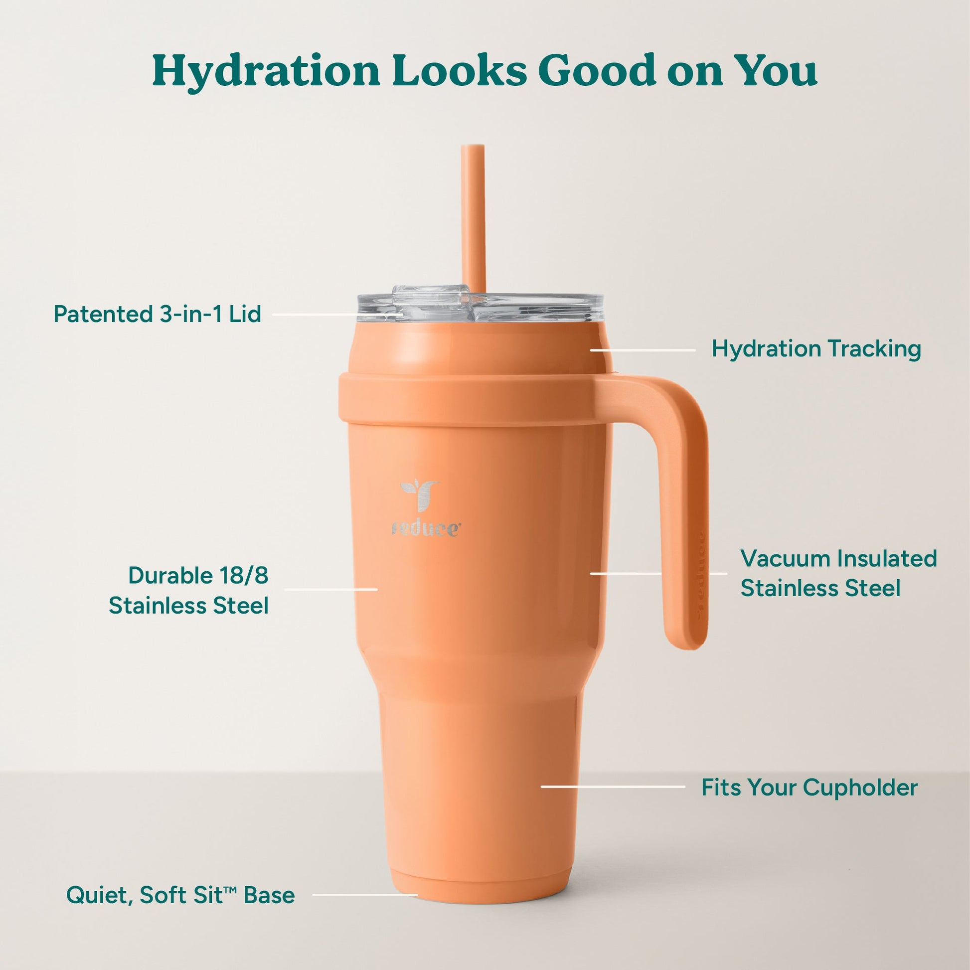 cold1-40-oz-g1 Cold1_40oz_Papaya_Infographic_2.jpg